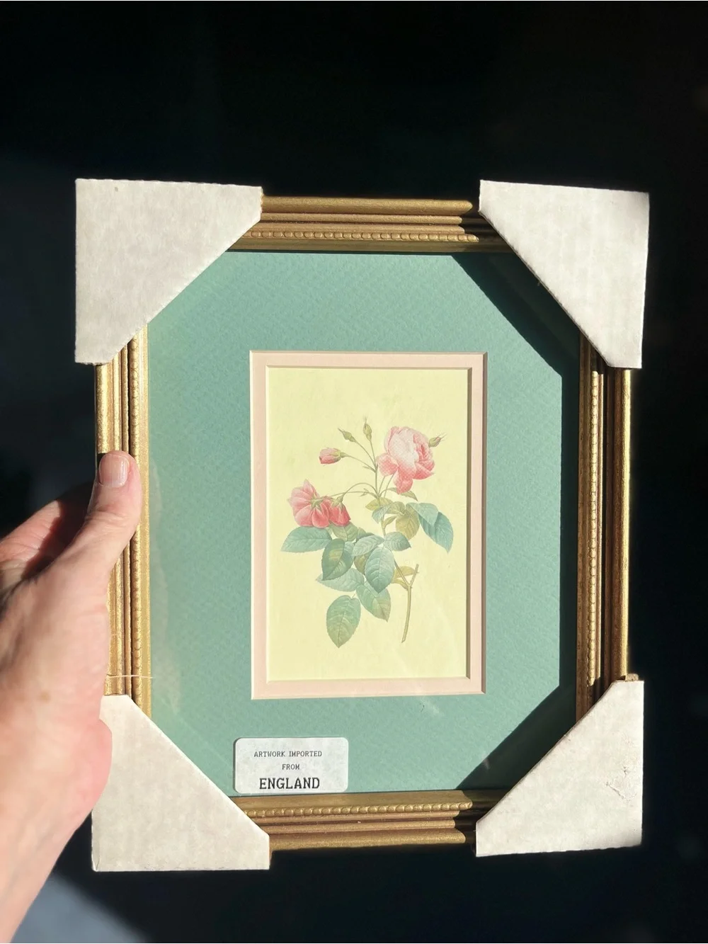 Gold Framed Pink Rose Botanical Wall Art  illustration by Pierre-Joseph Redout